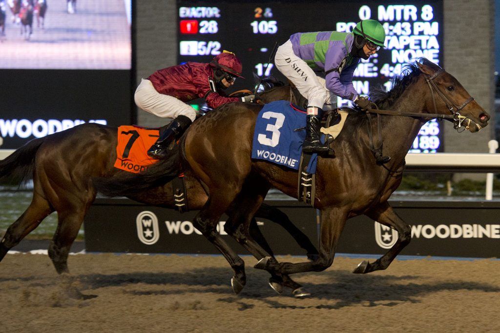 Avie's Flatter named 2019 Queen's Plate Winterbook favourite 