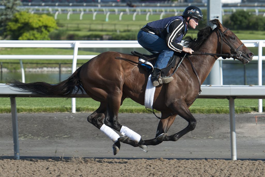 Queen's Plate notes for Friday, June 21, 2019
