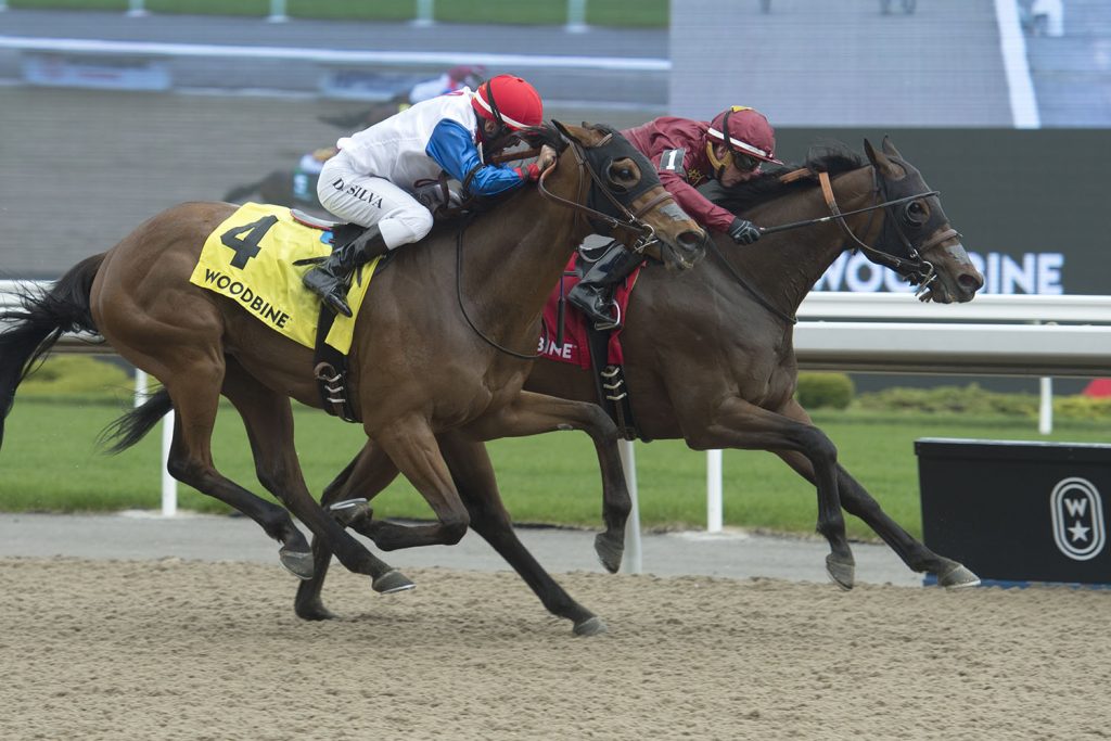 Looking to lay down the ‘Law’ in Plate Trial