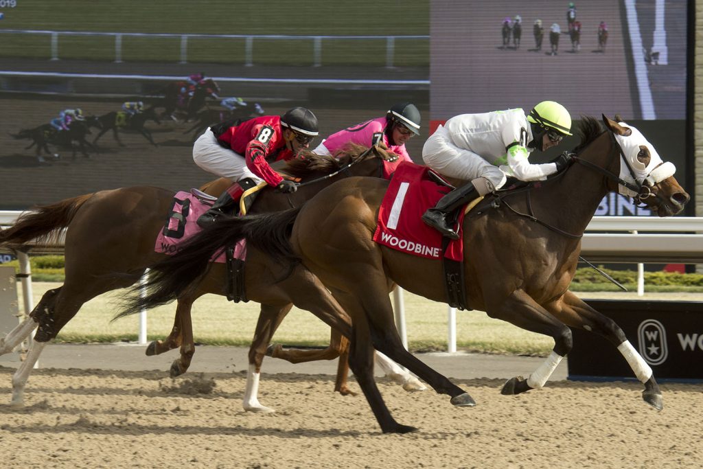 More success for Souper Success in Queenston Stakes?
