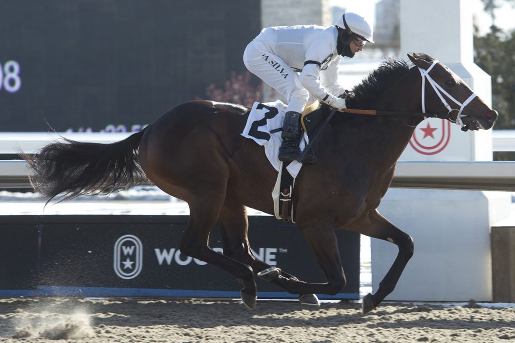 Queen’s Plate and Woodbine Oaks hopefuls set to contest Woodstock and Star Shoot Stakes