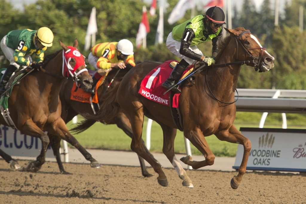 Curlin’s Voyage wows in Woodbine Oaks presented by Budweiser