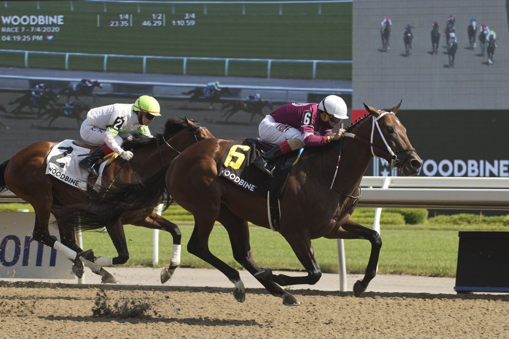 Will Halo Again run rings around Plate Trial foes?