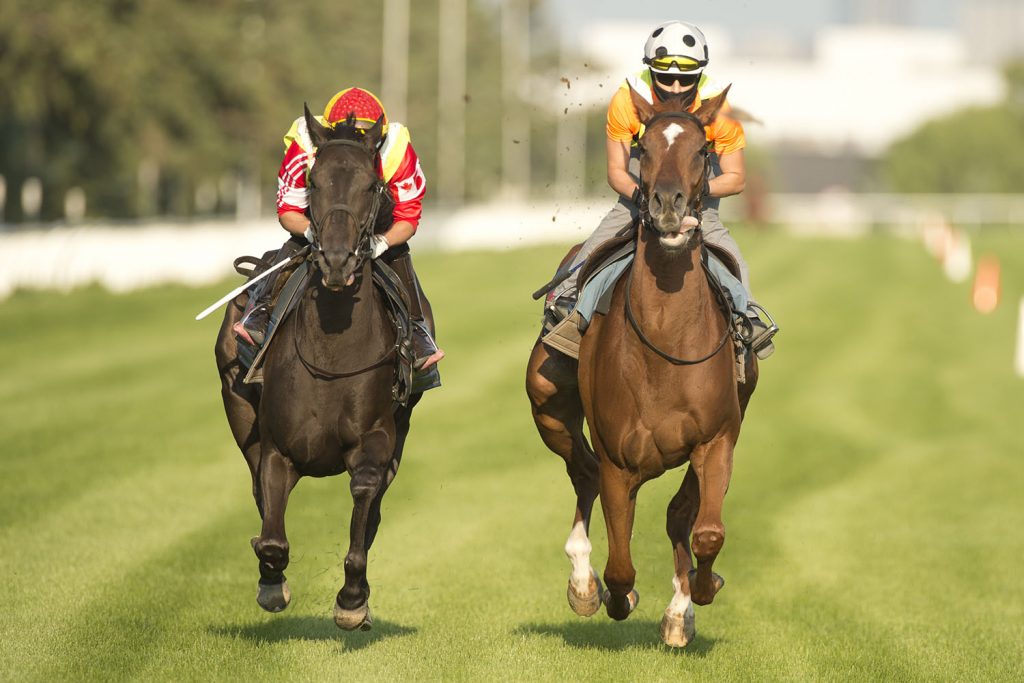 Canadian Stakes, Bison City set the table for stellar Queen’s Plate card