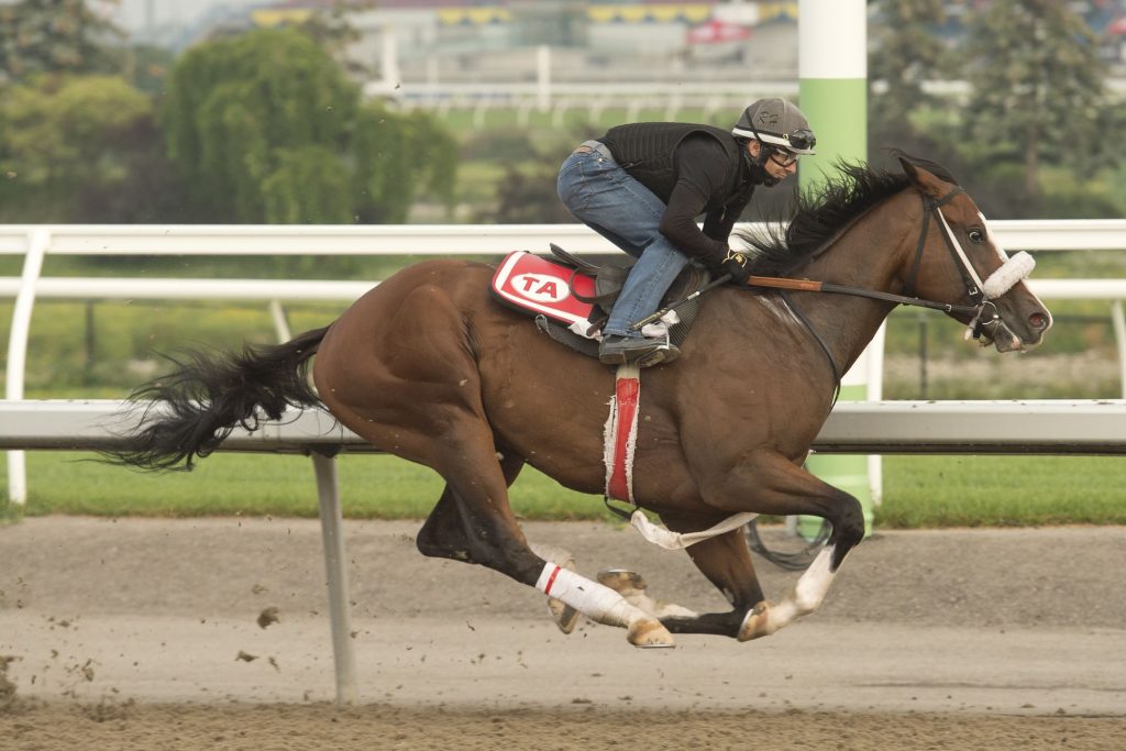 162nd Queen's Plate Power Rankings: Keep Grinding No. 1