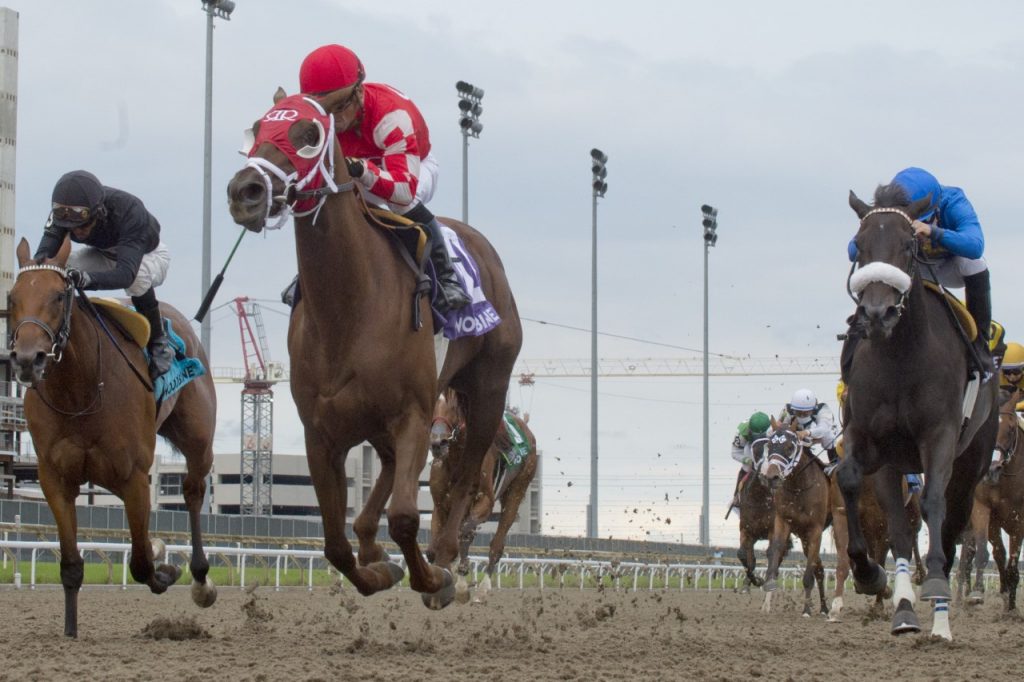 162nd Queen's Plate Power Rankings: Weyburn remains No. 1; Oaks winner Munnyfor Ro debuts