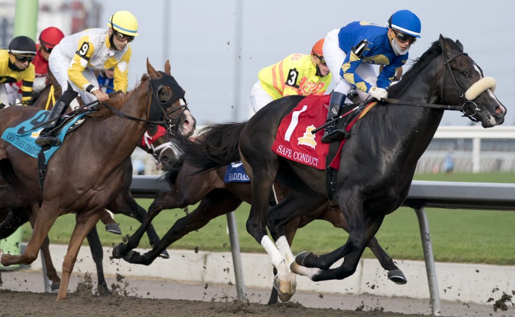 163rd Queen's Plate - Facts & Figures