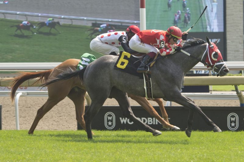 Courtly Ro and jockey Kazushi Kimura winning race 3 on August 20, 2023 at Woodbine (Michael Burns Photo)