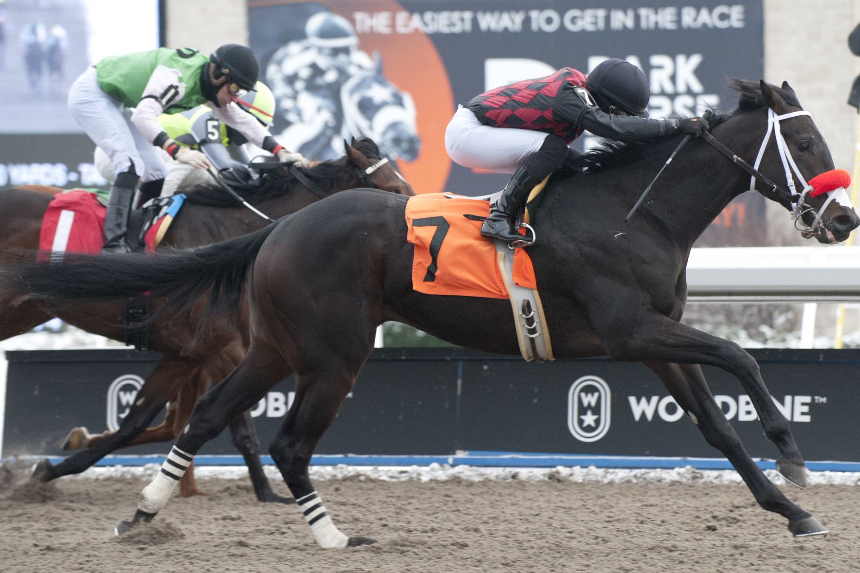 Midnight In Malibu and jockey Emma-Jayne Wilson winning race 6 on December 11, 2022 at Woodbine (Michael Burns Photo)