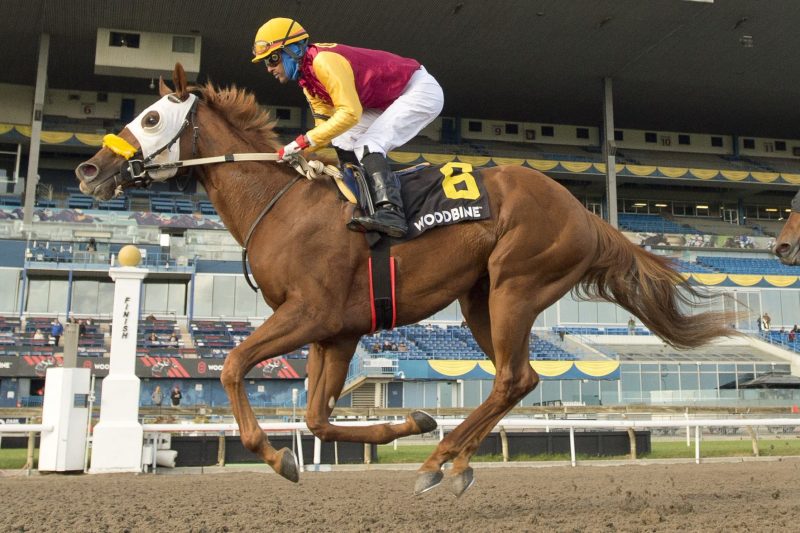 Poulin in O T and jockey Patrick Husbands winning the 2022 Frost King Stakes at Woodbine (Michael Burns Photo)
