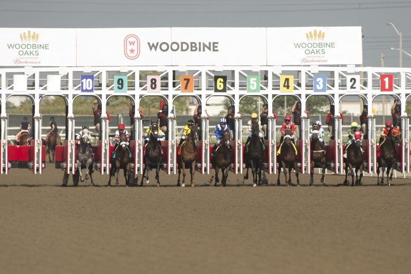 woodbineoaks