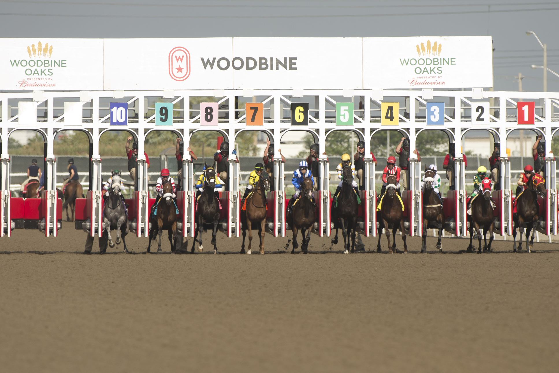 woodbineoaks