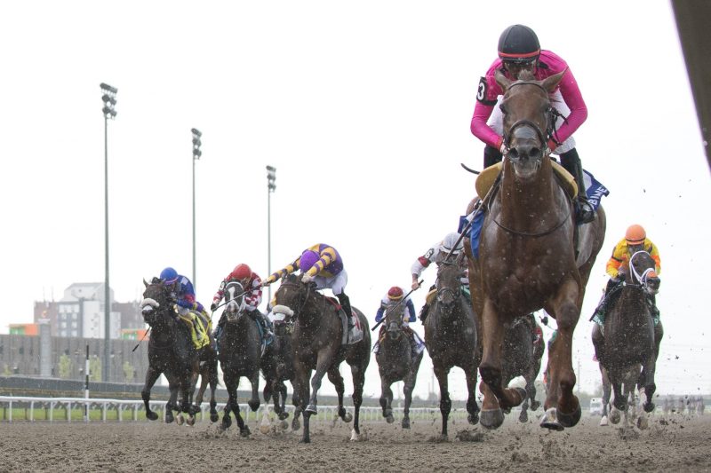 Paramount Prince leaves rivals reeling in Plate Trial