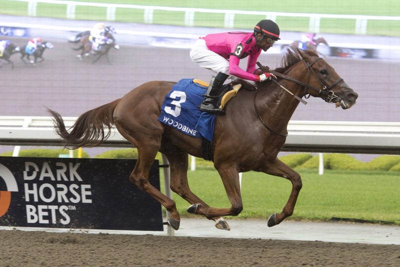 Paramount Prince and Patrick Husbands winning Sunday's Plate Trial. (Michael Burns Photo)
