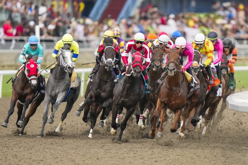 The field for the 164th King's Plate (Michael Burns Photo)