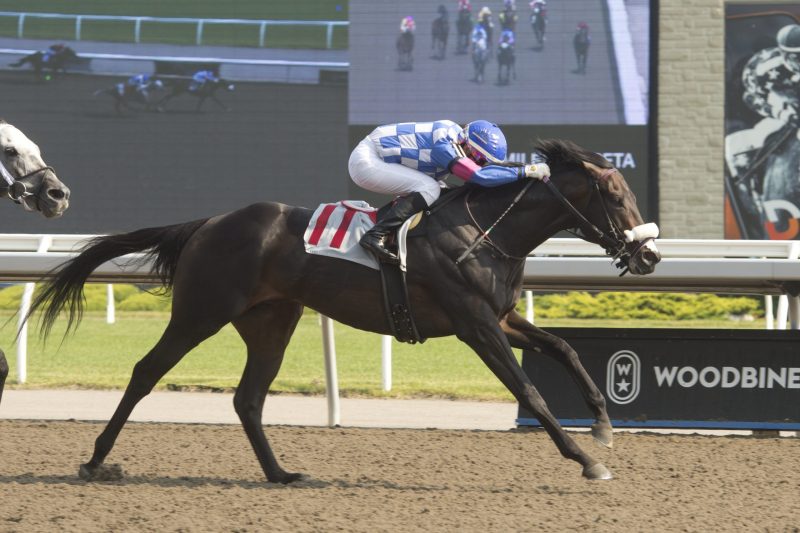 Stanley House and jockey Luis Contreras winning Race 7 on June 18, 2023 (Michael Burns Photos)