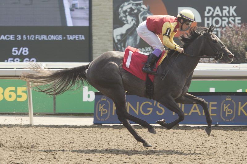 Grey Dragon and jockey Daisuke Fukumoto winning Race 3 on August 20, 2023 at Woodbine (Michael Burns Photo)