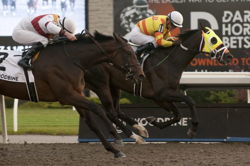 Velocitor and jockey Justin Stein winning the Coronation Futurity on November 6, 2022 at Woodbine (Michael Burns Photo)