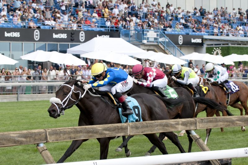 Airosa and jockey Rafael Hernandez winning the Catch a Glimpse Stakes on August 20, 2023 at Woodbine (Michael Burns Photo)