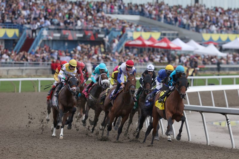 Toronto On.August 21, 2022.Woodbine Racetrack.Queen's Plate 1st turn.Moira (#8) ridden by jockey Rafael Hernandez capture the Plate.Woodbine/ Michael Burns Photo