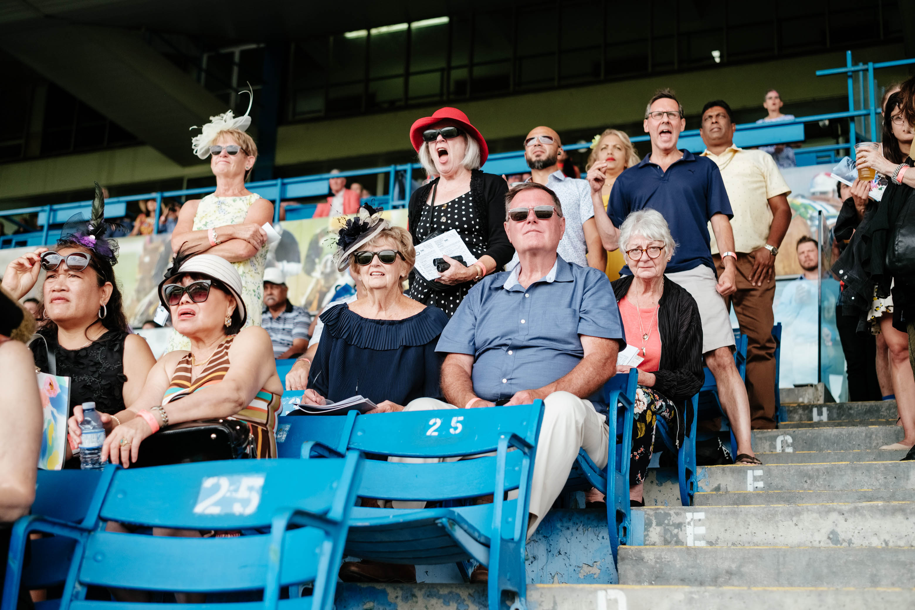 Grandstand Gallery 06