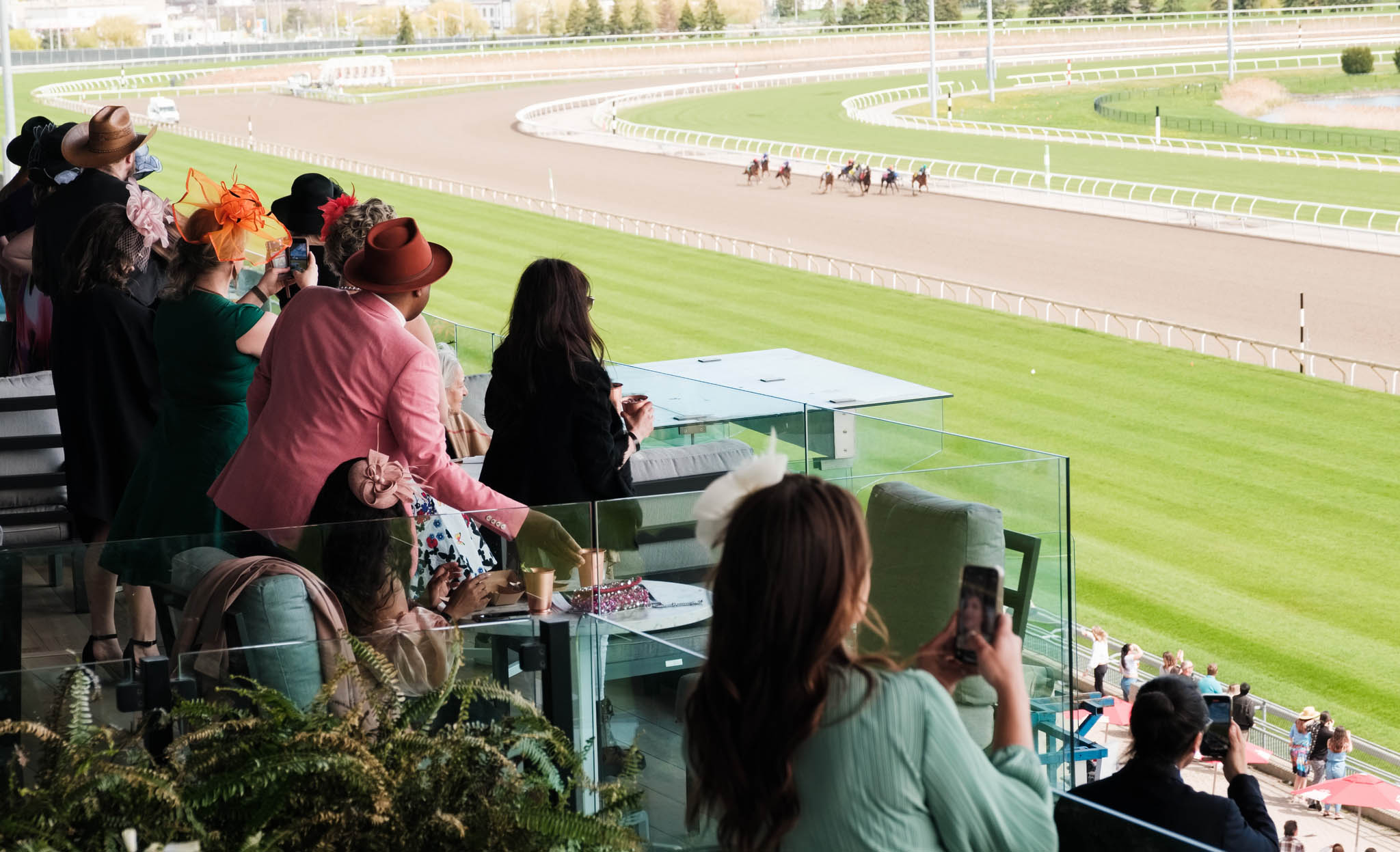 Stella Racetrack 01