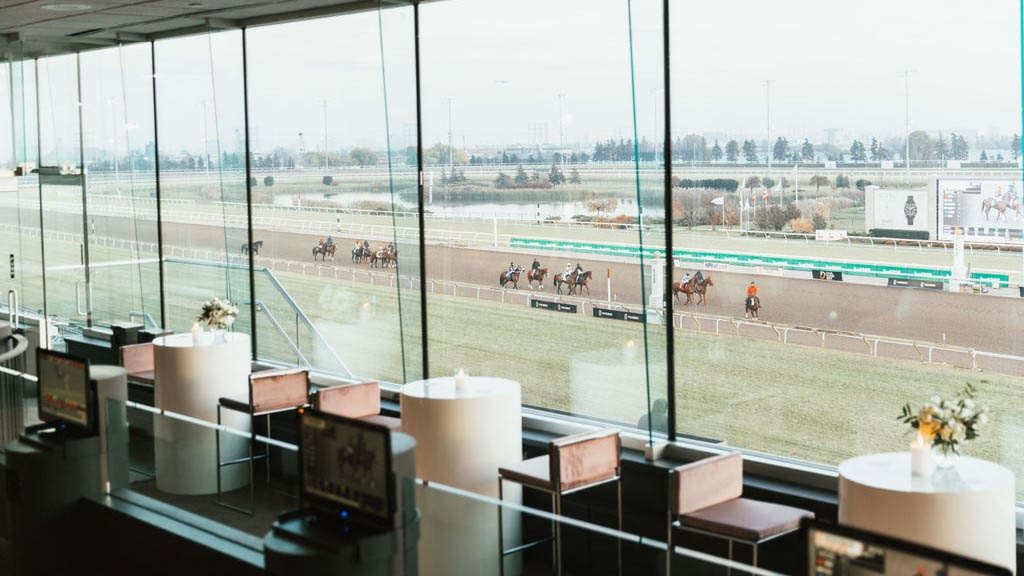 Turf Lounge Racetrack 01