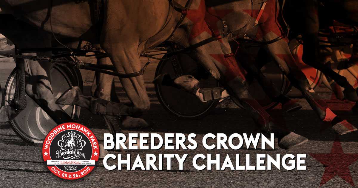 Charity Challenge Breeding Auction Three Weeks Away