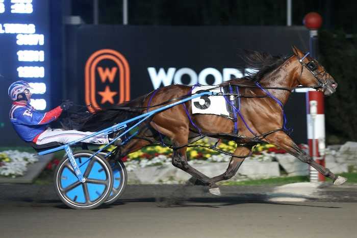 Century Farroh winning at Woodbine Mohawk Park in August 2019.
