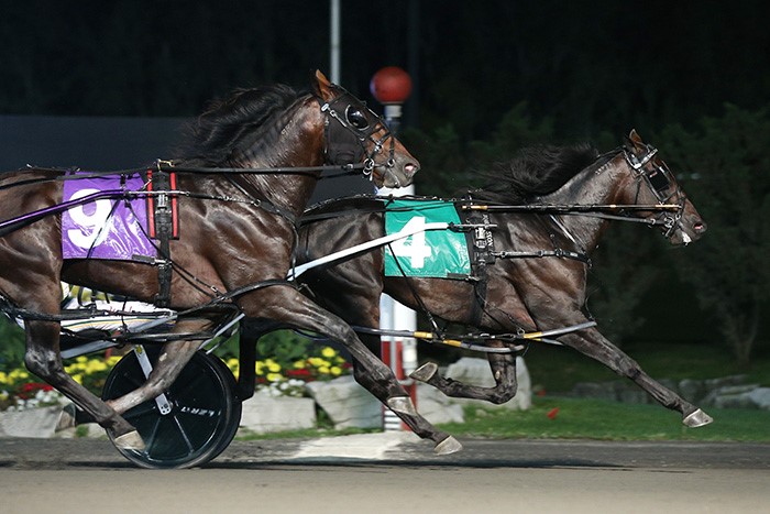 Rookies to clash in Friday Crown eliminations