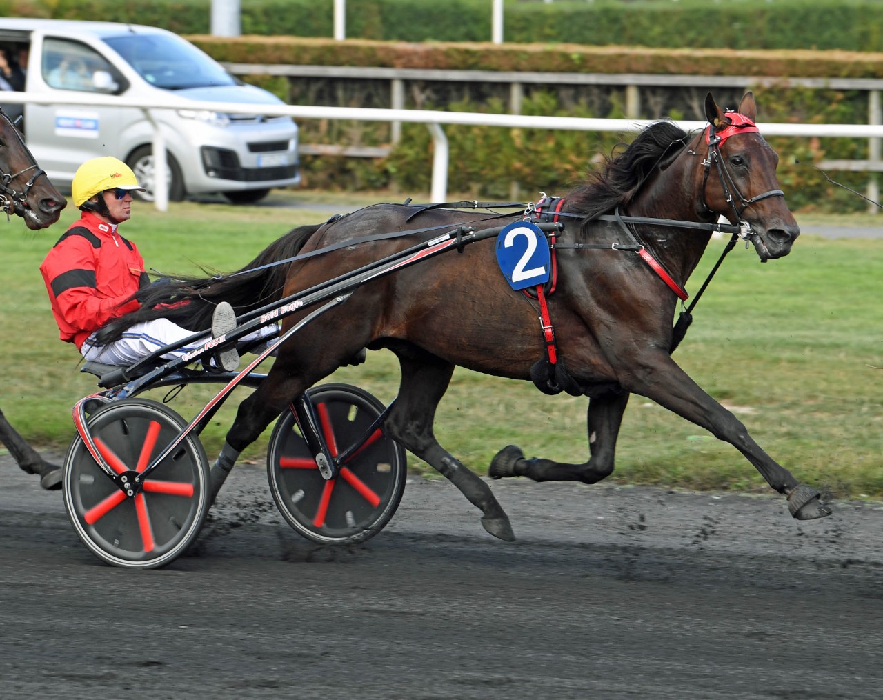 Four supplement to Crown; Foreign Classic invitee Bold Eagle enters