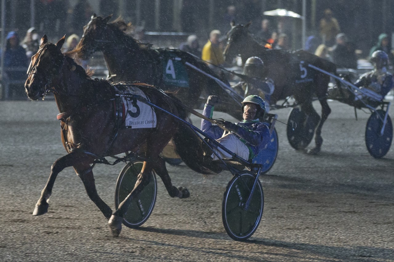 Caviart Ally powers to Crown victory