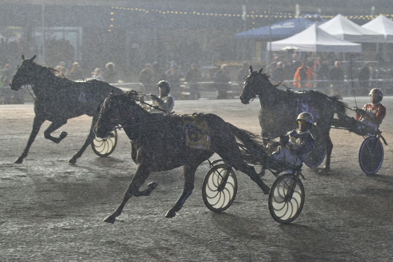 Gimpanzee grabs second Crown trophy