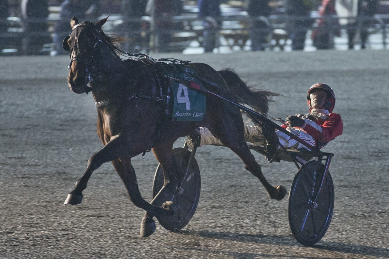 Manchego dominate in Crown victory