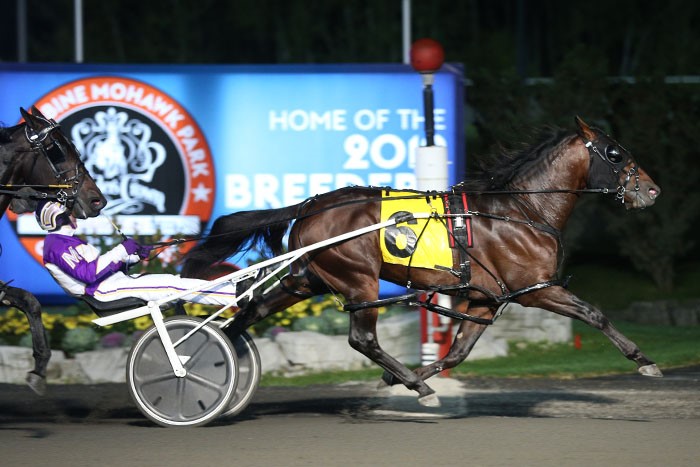 'Papi Rob' large in Crown elimination victory