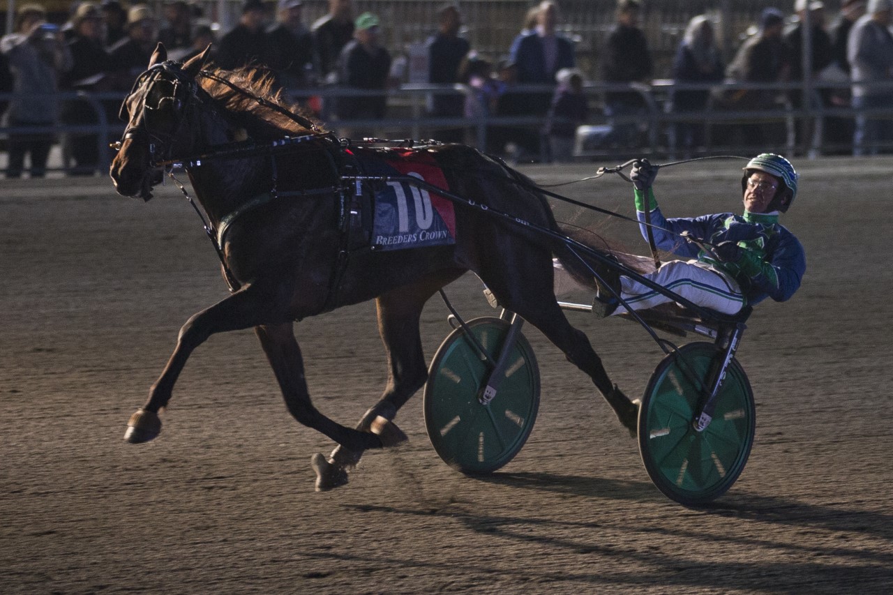 Ramona Hill defies post, devours field in Breeders Crown Two-Year-Old Filly Trot