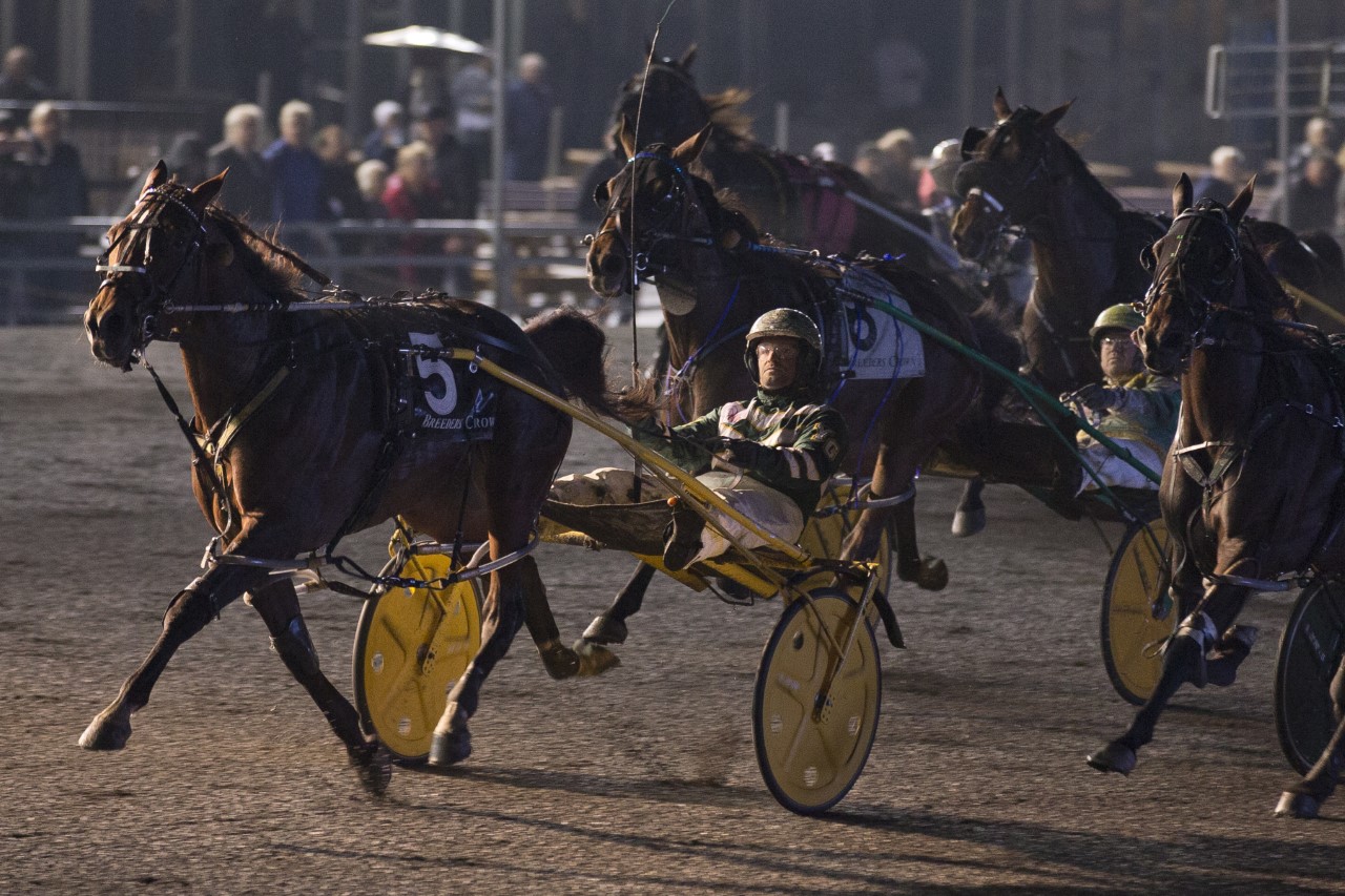 Warrawee Ubeaut repeats in Breeders Crown