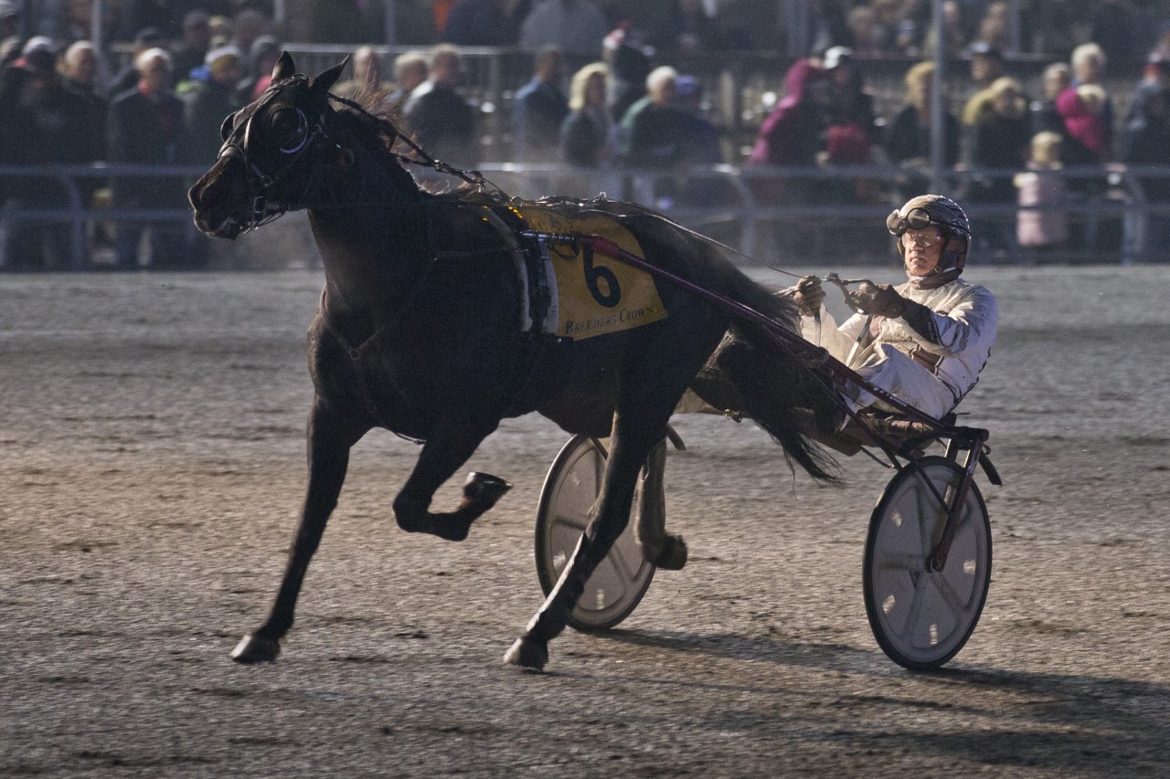 Winndevie much the best in Crown