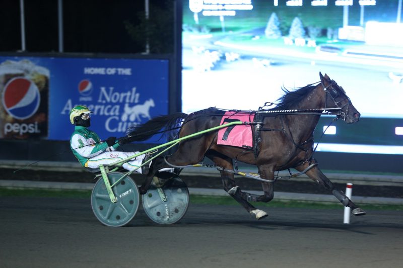 Bulldog Hanover winning the OSS Super Final in October 2020.