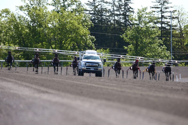 New Woodbine slanted starting gate used during recent qualifiers. 