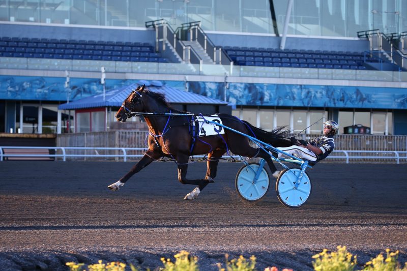 Lawless Shadow winning at Woodbine Mohawk Park.