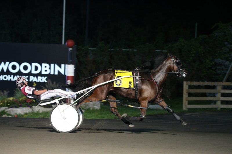 Stonebridge Rex winning an OSS Grassroots contest on Friday, August 20 at Woodbine Mohawk Park.
