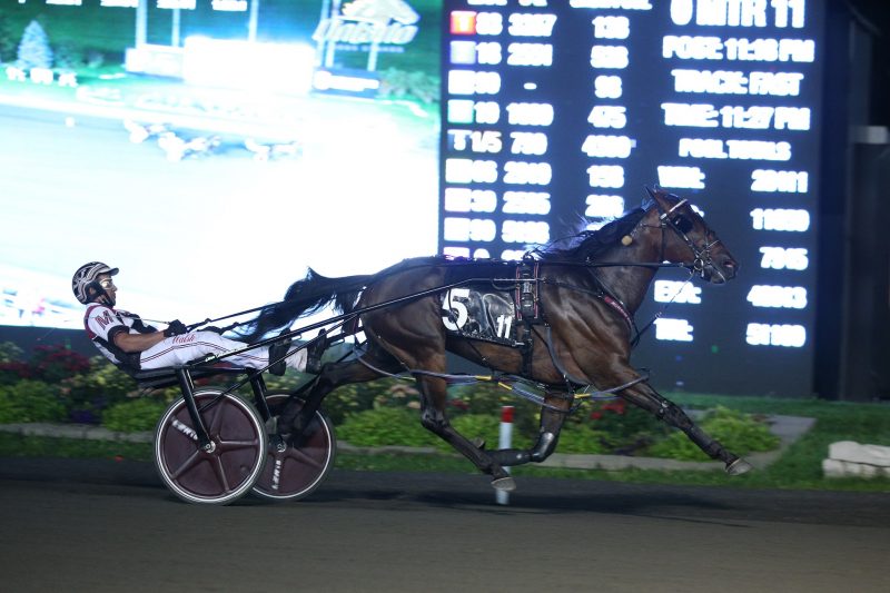 Bettor Sun winning an OSS Grassroots contest on Friday, August 20 at Woodbine Mohawk Park. 