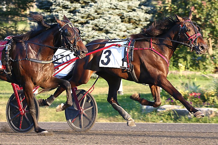 Duly Resolved digs in to capture his William Wellwood elimination at Woodbine Mohawk Park on September 2, 2021. (New Image Media)