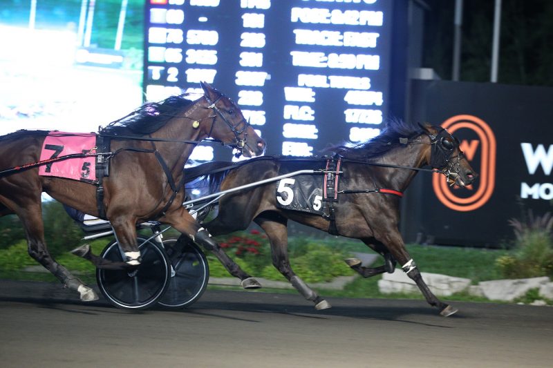 Donna Soprano finding the wire first in the 2021 Elegantimage Final. (New Image Media) 