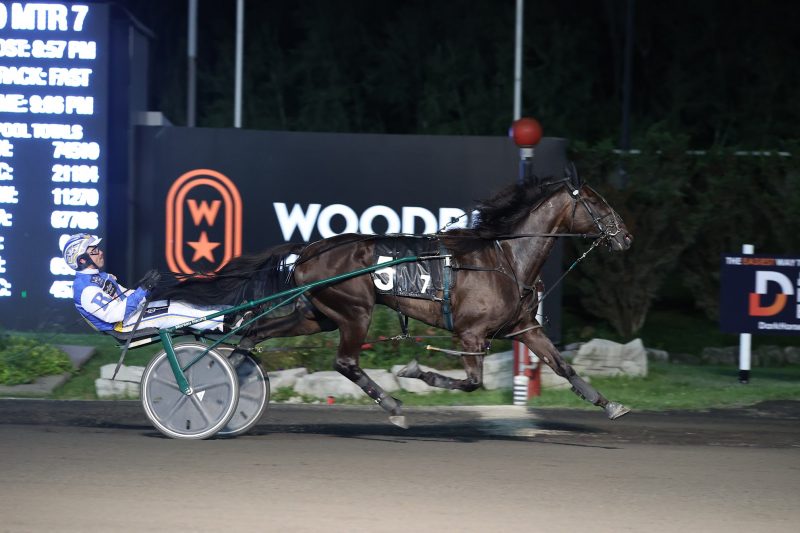 Fashion Frenzie and Louis Philippe Roy winning last Saturday's Goodtimes.