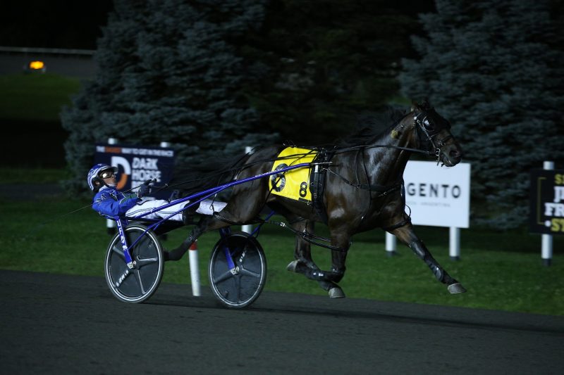 Allyway Hanover dominated the field in the 2021 Mohawk Gold Cup final at Woodbine Mohawk Park. (New Image Media) 