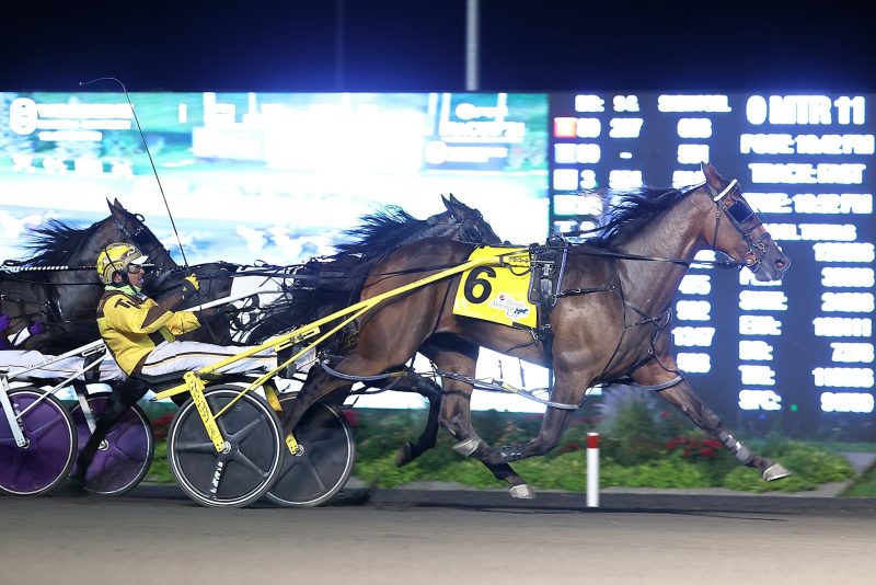 Desperate Man winning 2021 Pepsi North America Cup