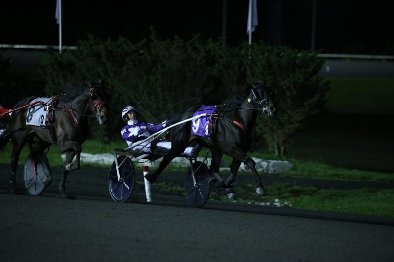 Venerable holds on to earn the Mohawk Million title at Woodbine Mohawk Park. (New Image Media)