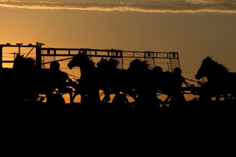 "Behind The Gate" - Michael Burns photo